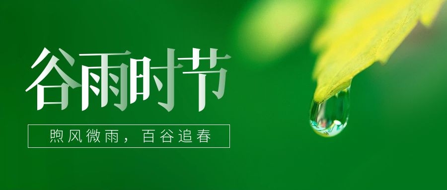 谷雨 ▎雨生百谷，鎖住一抹春色